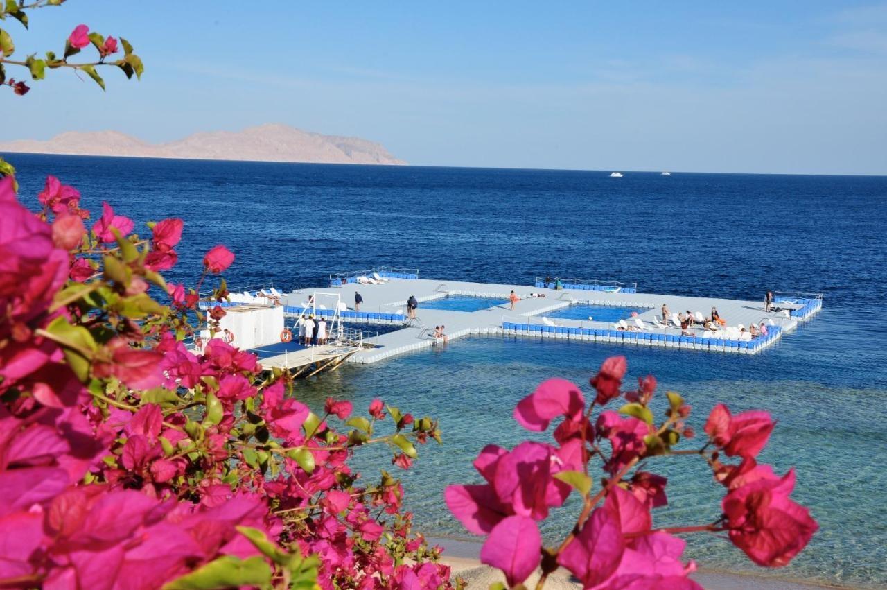Private One Bedroom Domina Coral Bay Sharm el-Sheikh Ngoại thất bức ảnh
